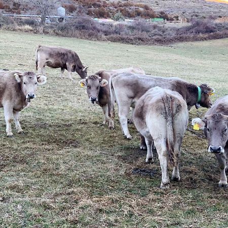 Elegante Casa En La Cerdana Villa Bellver De Cerdanya Kültér fotó