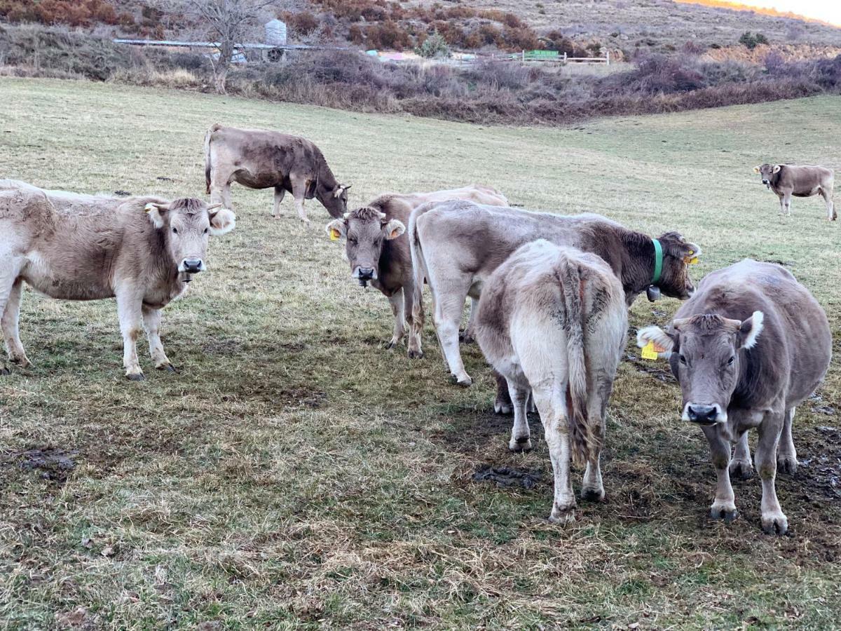 Elegante Casa En La Cerdana Villa Bellver De Cerdanya Kültér fotó